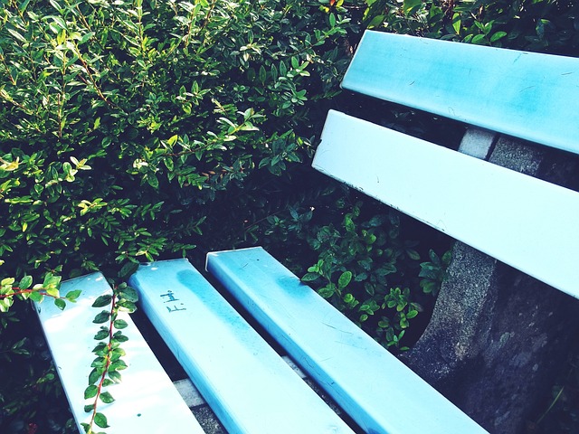 得分后卫时 得分后卫时