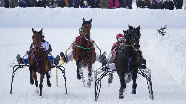队过去比赛 队过去比赛