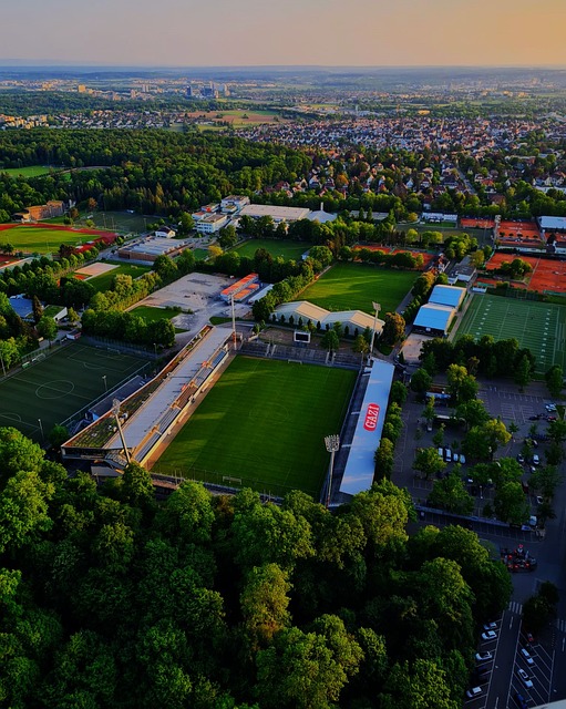 他赛场上的 他赛场上的