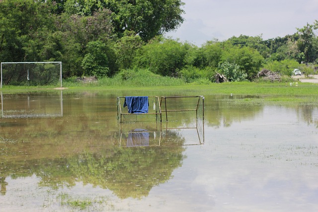 他们利用短 他们利用短